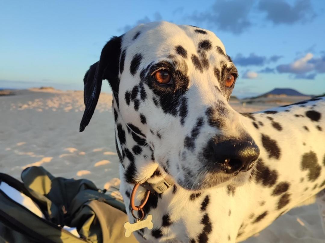 Alojamiento Fuerteventura Tikuna Ла-Оліва Екстер'єр фото